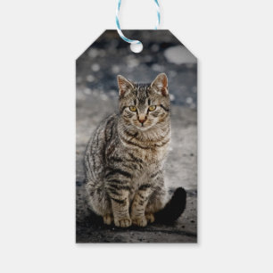 Porträt einer Katze Geschenkanhänger