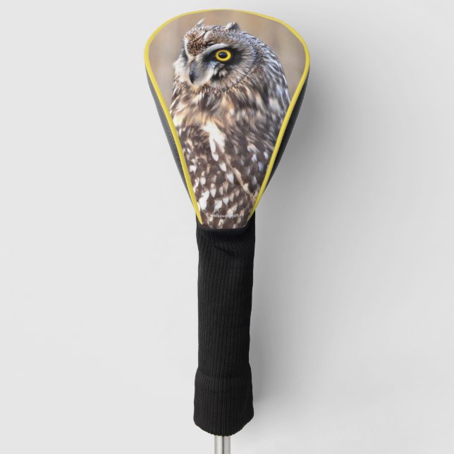 Porträt einer Kurzen Eule Golf Headcover (Vorderseite)