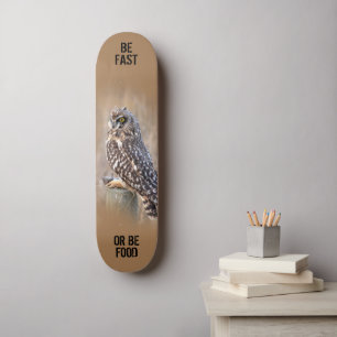 Porträt einer Kurzen Eule in den Marschen Skateboard