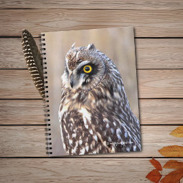 Porträt einer Kurzen Eule Notizblock