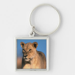 Porträt einer Löwin (Panthera Leo) Schlüsselanhänger