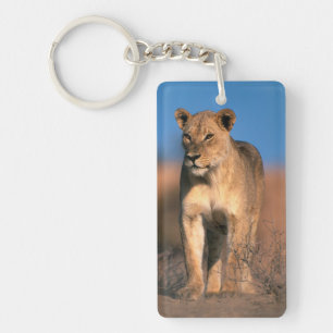 Porträt einer Löwin (Panthera Leo) Schlüsselanhänger