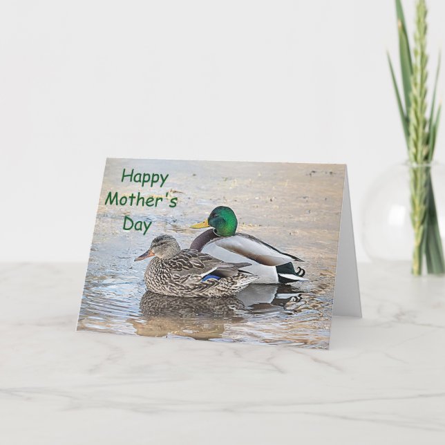 Porträt einer männlichen und weiblichen Stockente Karte (Vorderseite)