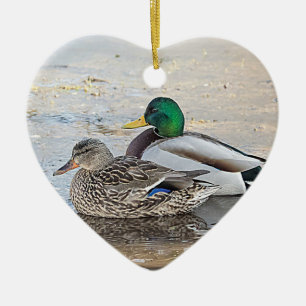 Porträt einer männlichen und weiblichen Stockente Keramik Ornament