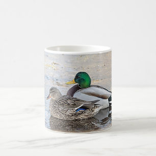 Porträt einer männlichen und weiblichen Stockente Tasse