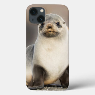 Porträt einer Robbenjungen am Strand Case-Mate iPhone Hülle