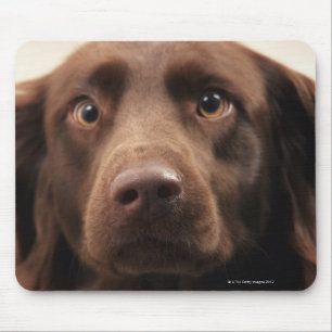 Porträt einer scharfsinnigen jungen Frau Mousepad