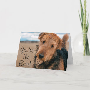Porträt eines Airedale Terrier 2 Karte