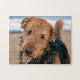 Porträt eines Airedale Terriers Puzzle