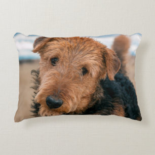 Porträt eines Airedale Terriers Zierkissen