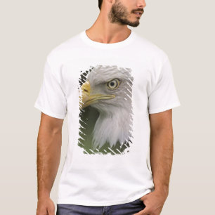 Porträt eines ausgewachsenen Weißkopfseeadlers, Ha T-Shirt