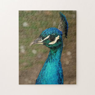 Porträt eines blauen Pfaus Puzzle