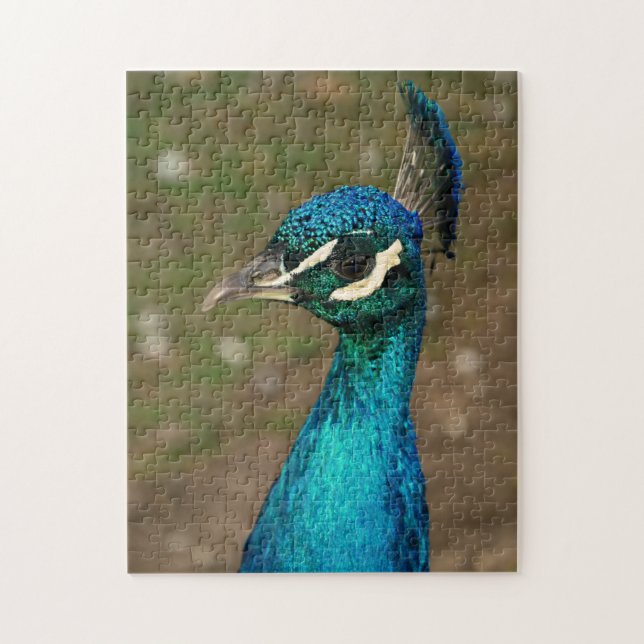 Porträt eines blauen Pfaus Puzzle (Vertikal)