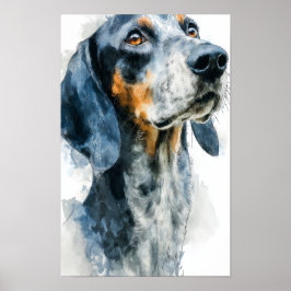 Porträt eines Bluetick Coonhounds Poster