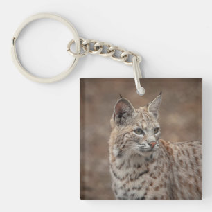 Porträt eines Bobcat Schlüsselanhänger