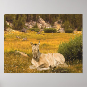 Porträt eines Buckskin-Pferdefohlens Poster