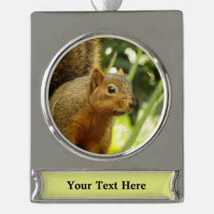 Porträt eines Eichhörnchens Natur Tierfotografie Banner-Ornament Silber