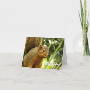 Porträt eines Eichhörnchens Natur Tierfotografie Dankeskarte