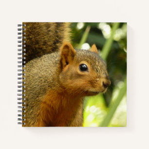 Porträt eines Eichhörnchens Natur Tierfotografie Notizbuch
