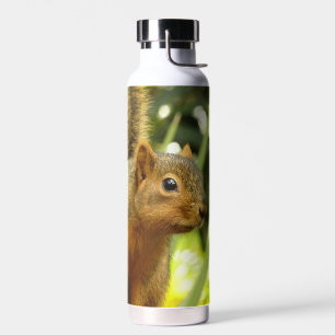 Porträt eines Eichhörnchens Natur Tierfotografie Trinkflasche