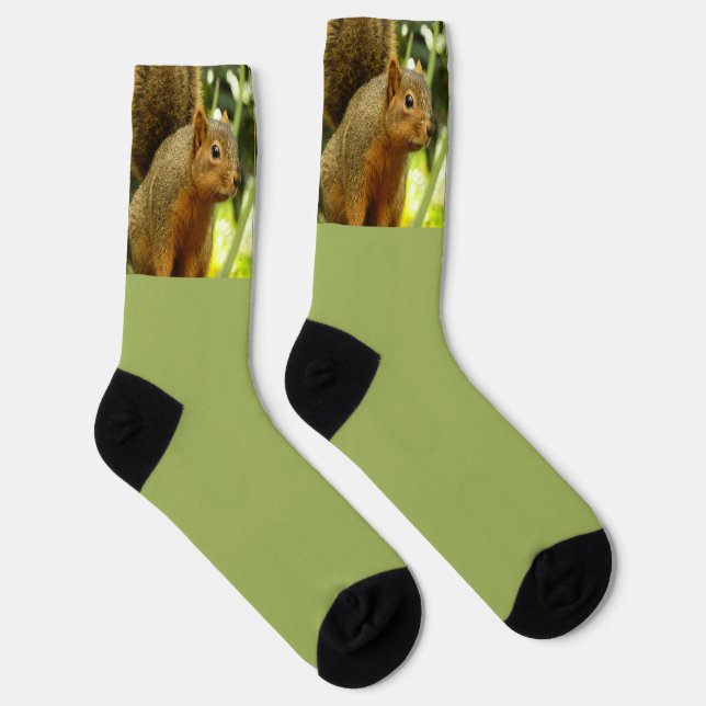 Porträt eines Eichhörnchens Socken (Rechts)