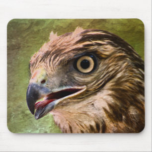 Porträt eines Falken Mousepad