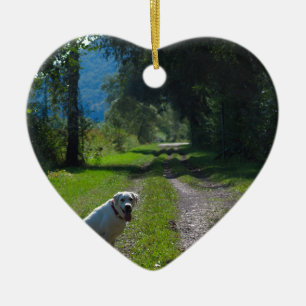 Porträt eines goldenen Retriever, der sich hinsetz Keramik Ornament