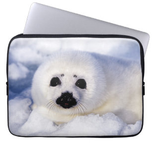 Porträt eines Harfensäuglings Laptopschutzhülle