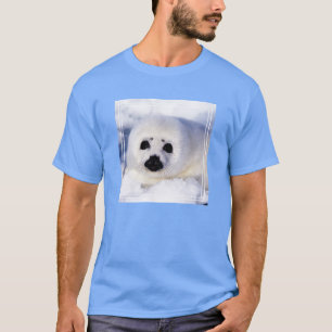 Porträt eines Harfensäuglings T-Shirt