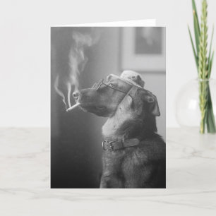 Porträt eines Hundes, 1923 Karte