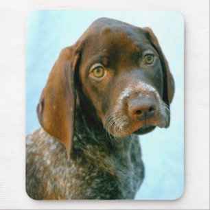 Porträt eines Hundes Mousepad