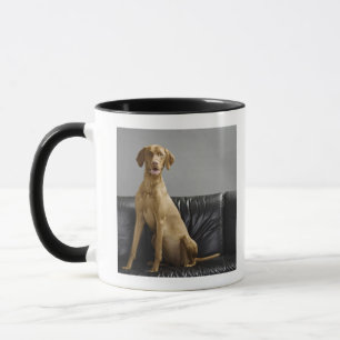 Porträt eines Hundes Tasse