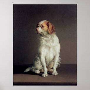 Porträt eines Königcharles Spaniel Poster