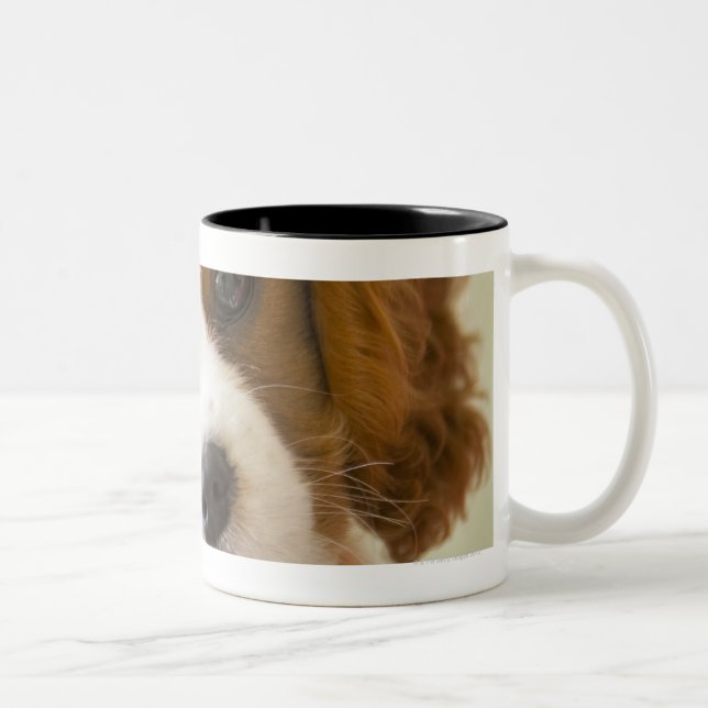 Porträt eines Königcharles Spanielwelpen Zweifarbige Tasse (Rechts)