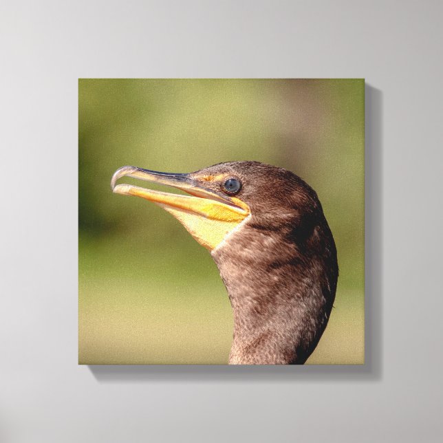 Porträt eines Kormorans Leinwanddruck (Vorderseite)