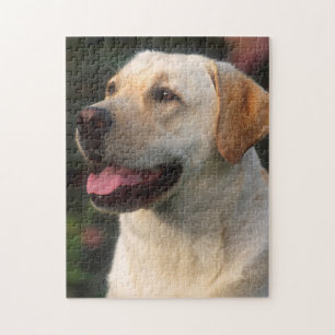 Porträt eines Labrador Retrievers, Hilton Puzzle