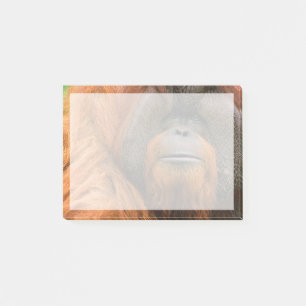 Porträt eines männlichen Orang-Utans, Georgia, USA Post-it Klebezettel