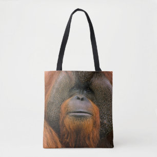 Porträt eines Orang-Utan-Männchens, Georgia, USA