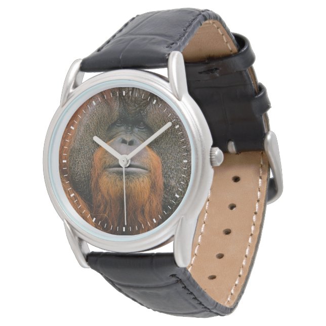 Porträt eines Orang-Utan-Männchens, Georgia, USA Armbanduhr (Schrägansicht)