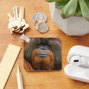 Porträt eines Orang-Utan-Männchens, Georgia, USA Schlüsselanhänger