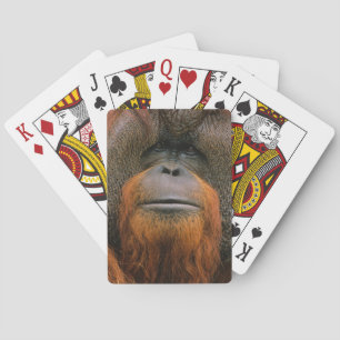 Porträt eines Orang-Utan-Männchens, Georgia, USA Spielkarten