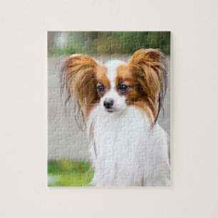 Porträt eines papillon Hundes Puzzle