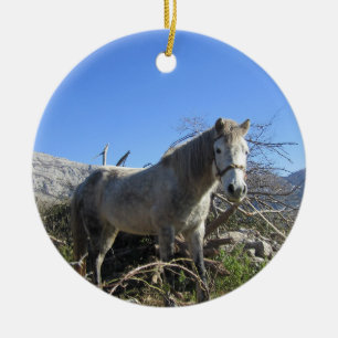 Porträt eines Pferdeornaments Keramik Ornament