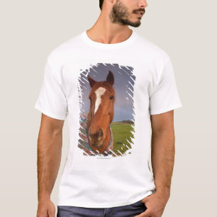 Porträt eines Pferds mit einem Regenbogen im T-Shirt