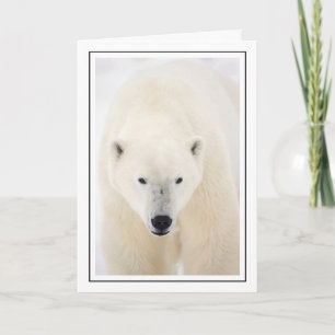 Porträt eines Polarbären Feiertagskarte