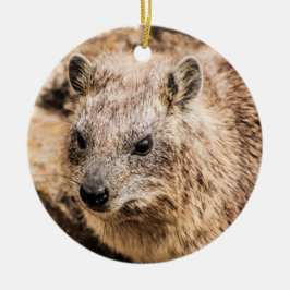 Porträt eines Rock Hyrax Keramik Ornament