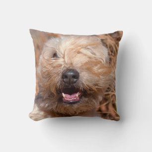 Porträt eines Soft Coated Wheaten Terrier Kissen