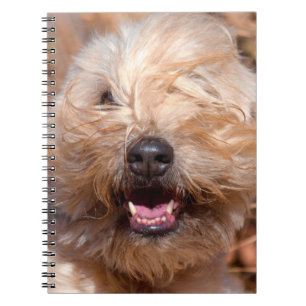 Porträt eines Soft Coated Wheaten Terrier Notizblock