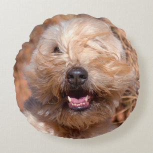 Porträt eines Soft Coated Wheaten Terrier Rundes Kissen