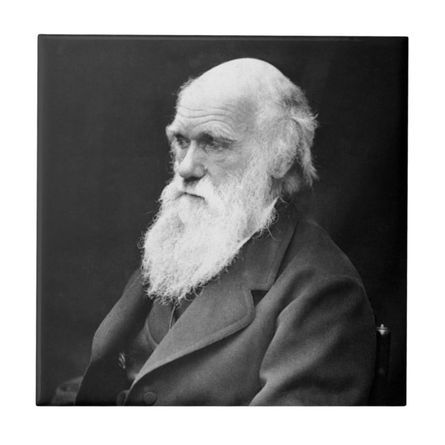 Porträt-Foto von Charles Darwin Fliese (Vorderseite)